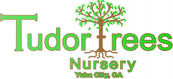 Tudor Trees Nursery